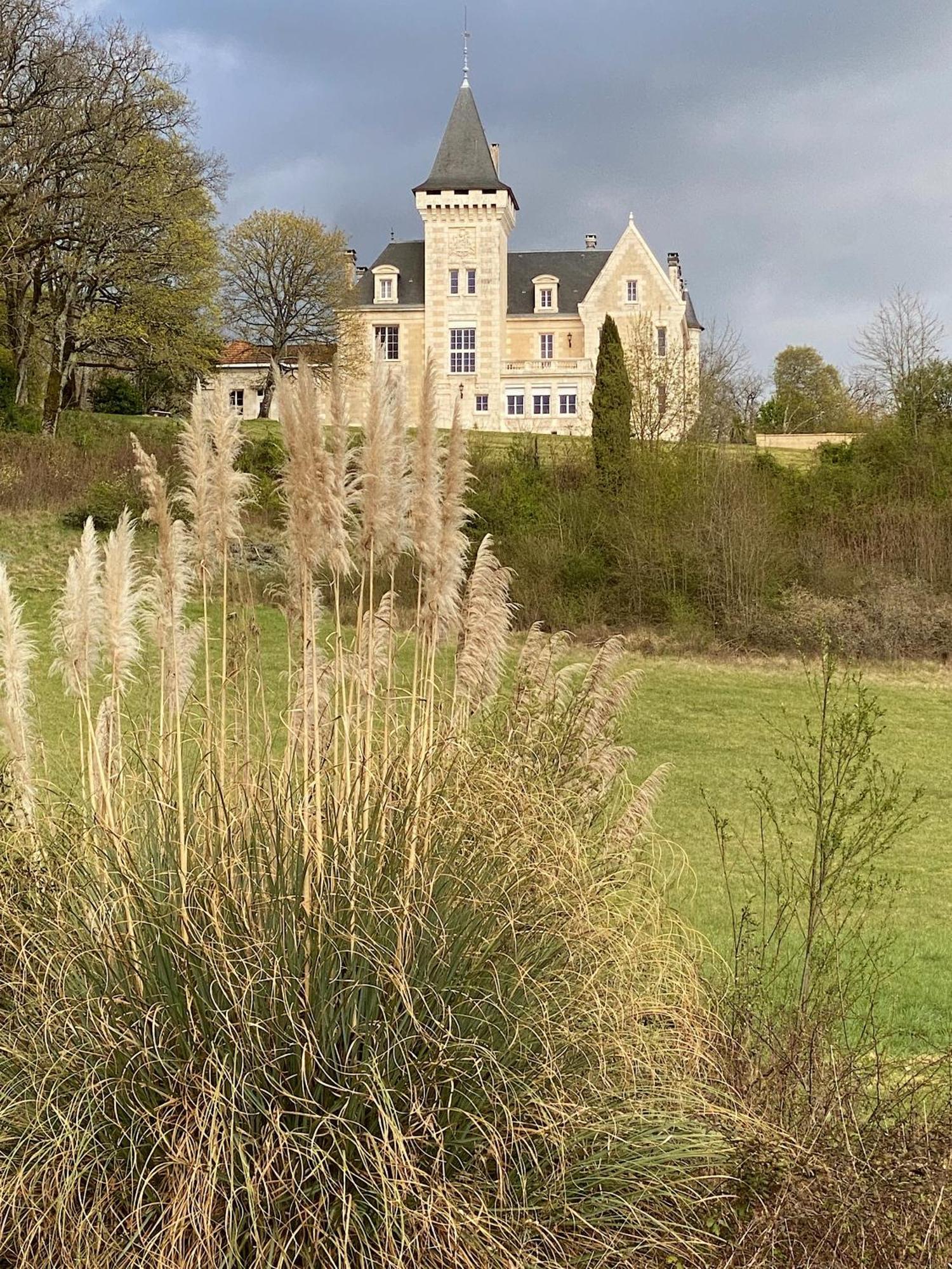 Chateau De Bellevue Et Avec Piscine Chauffée * Saint-Avit (Charente)